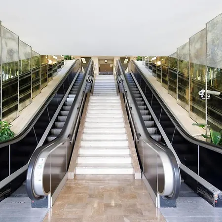 Gray D'albion 1d2 Yourhosthelper *